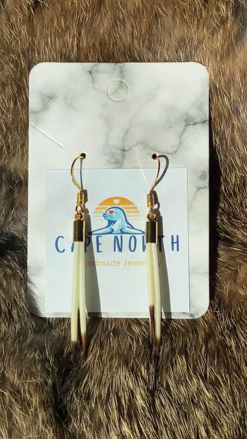 Porcupine Quill Earrings 24k Plated gold hooks 3 Quills