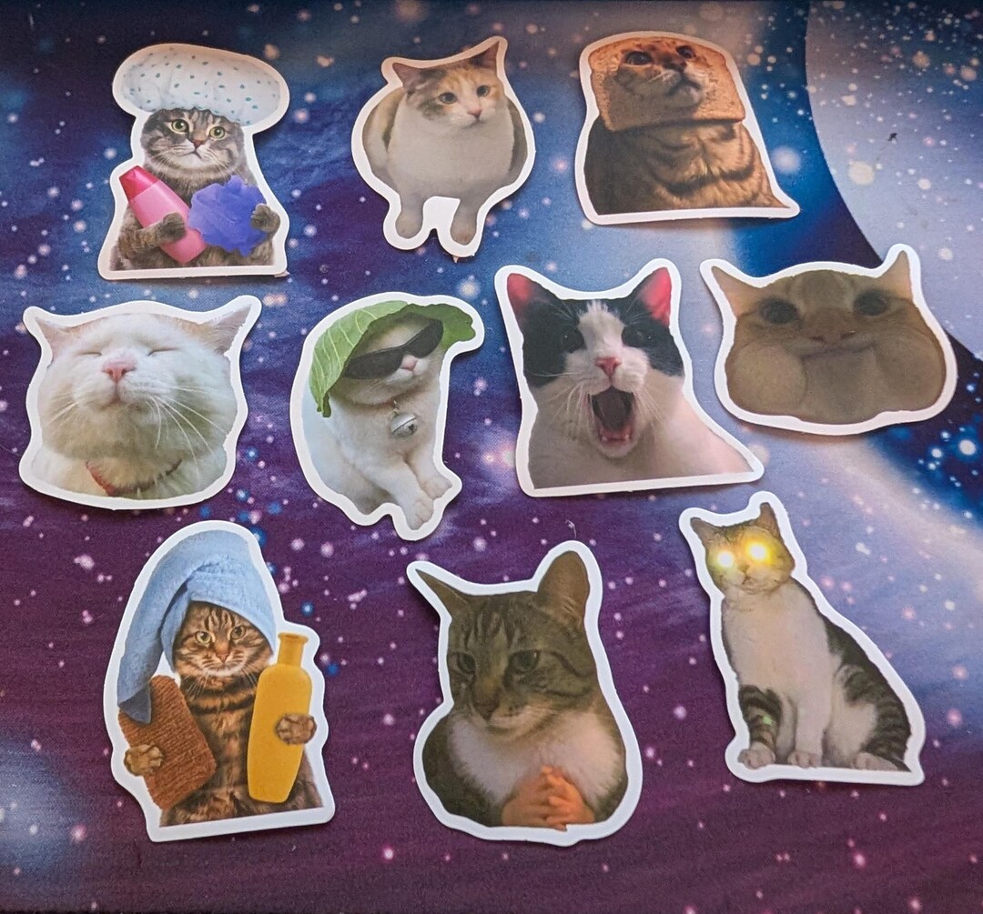 Funny Cat Meme Stickers: Waterproof Vinyl Decals - 50 Pcs - Etsy