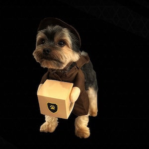 Op de afbeelding: Een Yorkshire Terrier hond gekleed in een bruin bezorguniform, compleet met hoed en jas. De hond houdt een kleine kartonnen doos vast met een pootafdruklogo, tegen een zwarte achtergrond.
