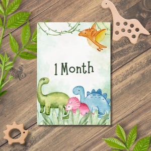 Baby Monthly Milestone Marker Printable Dinosaur Theme Baby Boy - Etsy
