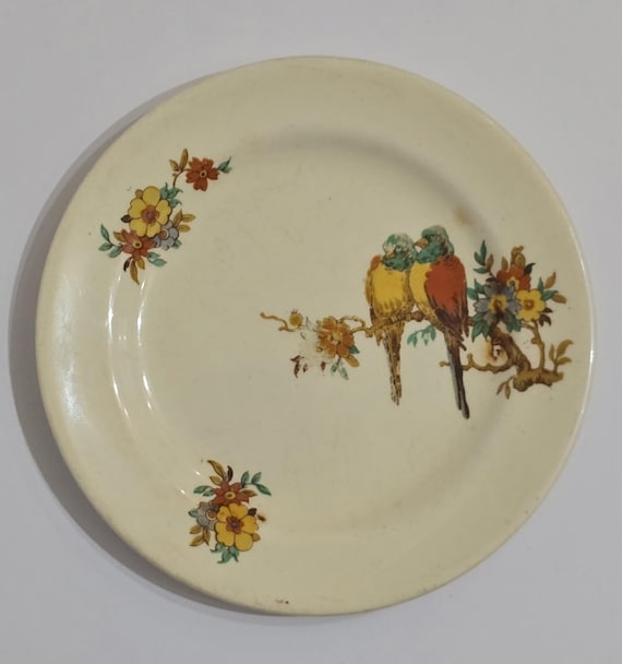 Small Crown Staffordshire Earthenware plate with parakeet/ parrot design