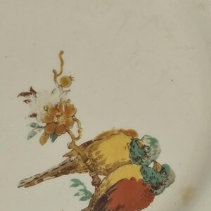 Puede incluir: Plato de cer&aacute;mica color crema con un dise&ntilde;o pintado de dos p&aacute;jaros posados en una rama con flores. Las aves tienen plumaje amarillo, rojo y verde. Acentos florales en amarillo, naranja y azul.