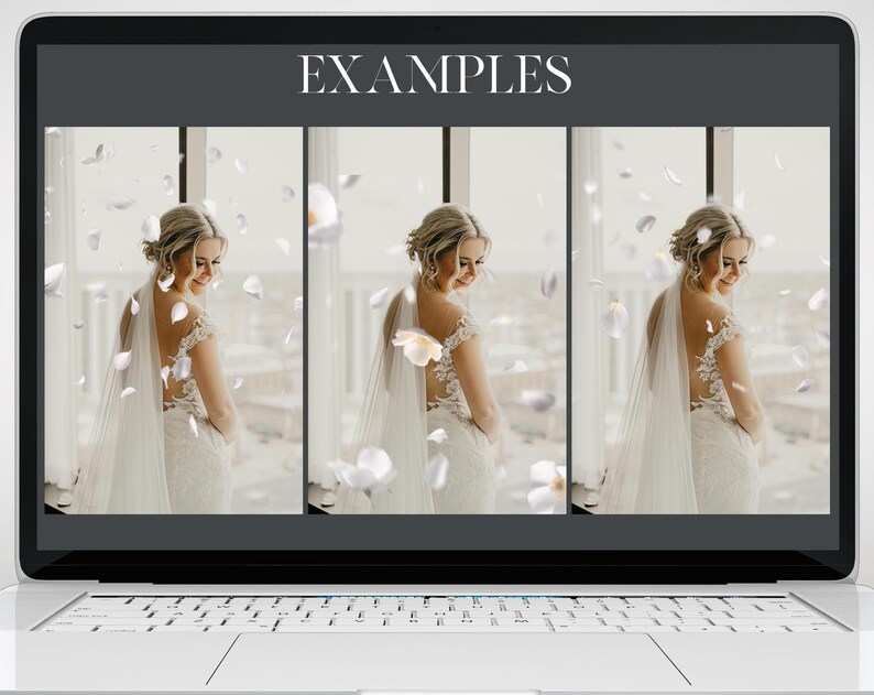 May include: A laptop screen displays three images of a bride in a white wedding dress with a veil. The bride is smiling, and white flower petals are floating in the air. The word "EXAMPLES" is at the top of the screen.