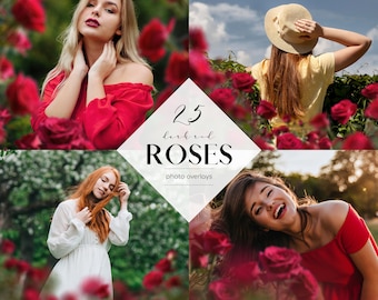 Dark Red Roses Photo Overlays: 25 PNG Clipart (Commercial Use)