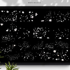 May include: A digital tablet displays a collection of white floral elements against a black background. The phrase "WHATS INCLUDED" is at the top. The elements are arranged in various clusters and patterns, suggesting a design resource or digital asset.