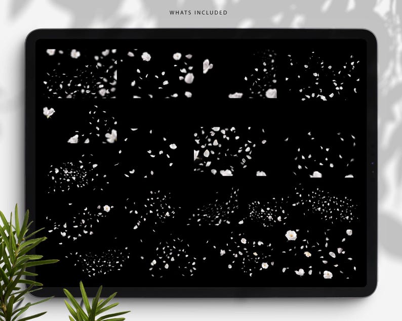 May include: A digital tablet displays a collection of white floral elements against a black background. The phrase "WHATS INCLUDED" is at the top. The elements are arranged in various clusters and patterns, suggesting a design resource or digital asset.