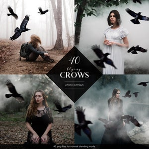 May include: 40 flying crow photo overlays. A set of 40 high-quality crow images, perfect for adding a spooky touch to your photos.  These overlays are easy to use and can be blended into your photos for a realistic effect.