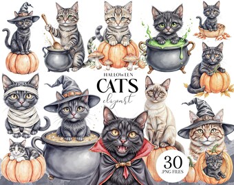 Halloween Cats Clipart, 30 PNG Cute Black Cat Illustrations, Spooky Sublimation Designs
