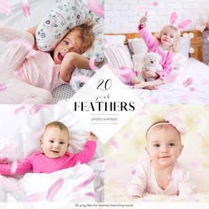 Pink Feathers Overlays, 20 PNG Files, Pink Feathers Clip Art, Feathers in the Air Effects, Free Commercial Use