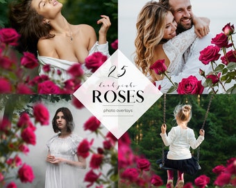 Dark Pink Roses Photo Overlays: 25 PNG Clipart (Commercial Use)