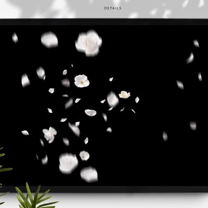 May include: A digital display shows a black background with white flower petals and blossoms floating across the screen. The word "DETAILS" is at the top of the screen.