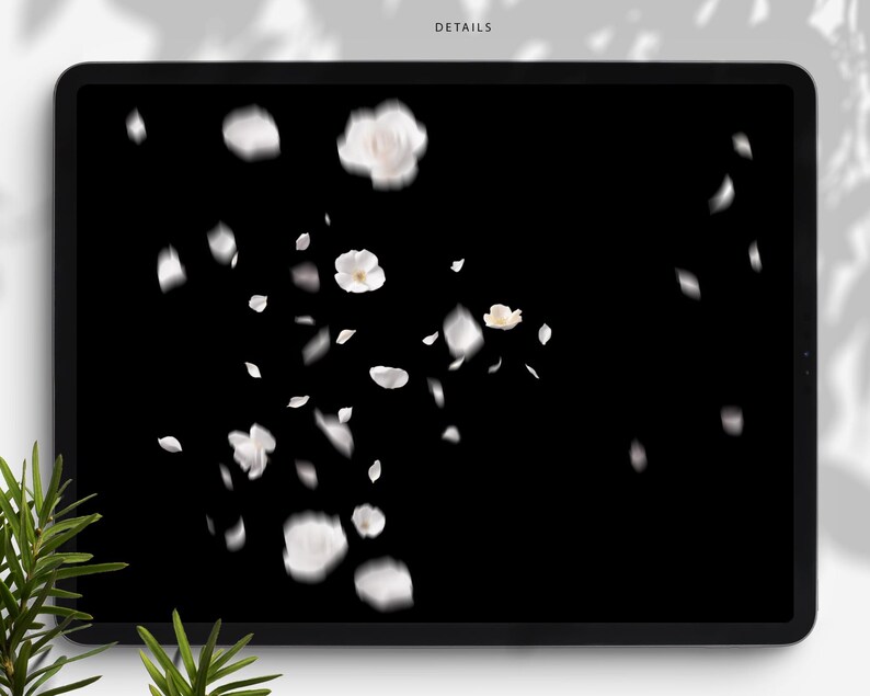 May include: A digital display shows a black background with white flower petals and blossoms floating across the screen. The word "DETAILS" is at the top of the screen.