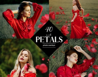 Rote Blütenblätter Foto Overlays: Floral PNG Clipart (40 Dateien)