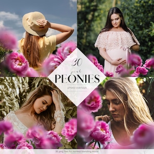 May include: 30 pink peony flower photo overlays.  These digital overlays are perfect for adding a touch of floral beauty to your photos.  30 png files for normal blending mode.