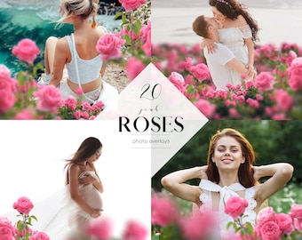 Pink Roses Photo Overlays: 20 PNG Files (Digital Download)