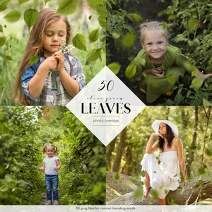 以下が含まれることがあります： 50枚のオリーブグリーンの葉の写真オーバーレイ。これらのデジタルオーバーレイは、写真に自然のタッチを加えるのに最適です。通常のブレンドモード用の50枚の.pngファイルです。