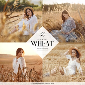 May include: 30 summer wheat photo overlays.  These digital overlays are perfect for adding a touch of summer to your photos.  The overlays are in PNG format and are designed for normal blending mode.