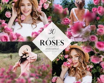 Pink Roses Photo Overlays: Floral Frames Clipart (30 PNG Files) (Digital Download)