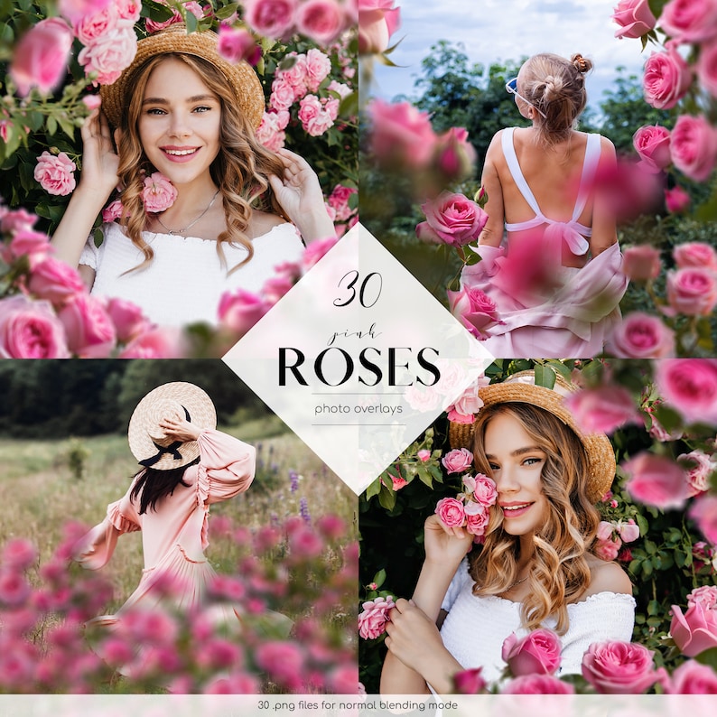 Pink Roses Photo Overlays: Floral Frames Clipart (30 PNG Files ...