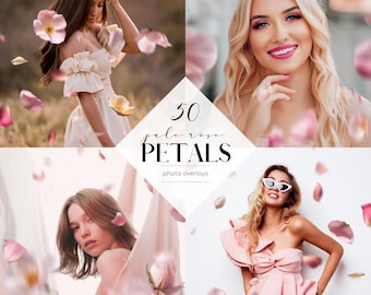 Superpositions de photos de pétales de rose poussiéreux qui tombent : 50 effets floraux PNG (téléchargement numérique)