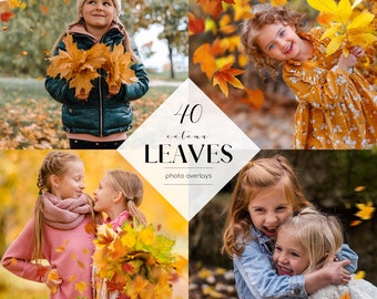 Autumn Leaves Photo Overlays: 40 Fall PNG Files (Digital Download)