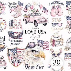 USA Clipart, American Eagle PNG, 4th of July Patriotic Illustrations Sublimation PNG, Free Commercial Use