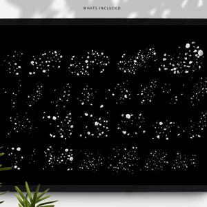 May include: A black digital tablet displays a collection of white speckled designs. The phrase "WHATS INCLUDED" is at the top. The designs are in various shapes and sizes, resembling abstract confetti or stone fragments. A sprig of green leaves is in the lower left corner.