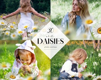 White Daisy Photo Overlays: Wildflower PNG Clipart (30 Files) (Digital Download)