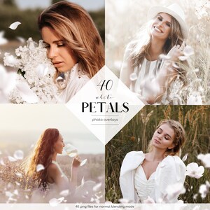 May include: 40 white petals photo overlays. A set of 40 white petal PNG files for normal blending mode.