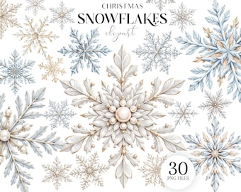 Snowflakes Clipart, 20 PNG Winter Snowflake Illustrations, Christmas Sublimation Designs