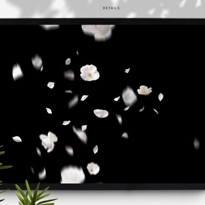 May include: A digital tablet displays a black background with white flower petals and blossoms floating across the screen. The word "DETAILS" is at the top of the screen. Green leaves are in the lower left corner.