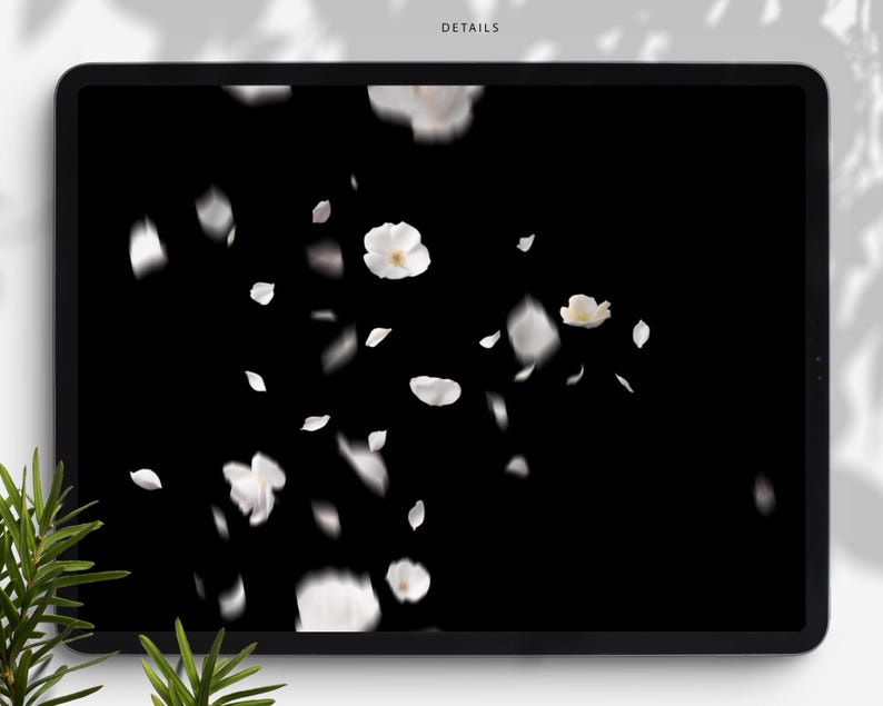 May include: A digital tablet displays a black background with white flower petals and blossoms floating across the screen. The word "DETAILS" is at the top of the screen. Green leaves are in the lower left corner.
