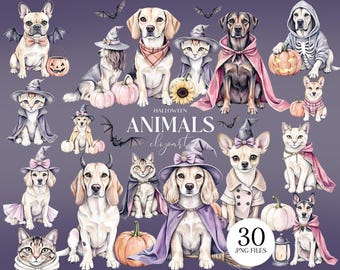 Halloween Animals Clipart, Dog Cat in Costume PNG, Spooky Pet Illustrations Sublimation PNG, Free Commercial Use