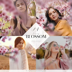 桜の写真オーバーレイ、ピンクの咲く木のクリップアート、24 個の PNG ファイル、春のクリップアート、花の Photoshop、商用利用無料