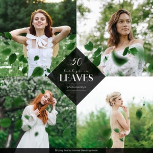 May include: A set of 50 digital photo overlays featuring light green leaves. The leaves are in various shapes and sizes, perfect for adding a touch of nature to your photos. 50 .png files for normal blending mode.