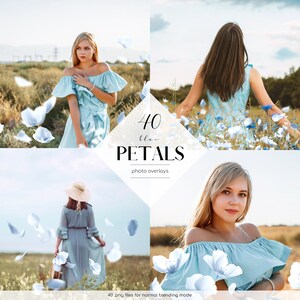 May include: 40 blue flower petals photo overlays.  The overlays are in PNG format and are ideal for adding a touch of whimsy to your photos.  The petals are scattered throughout the image, creating a sense of movement and airiness.