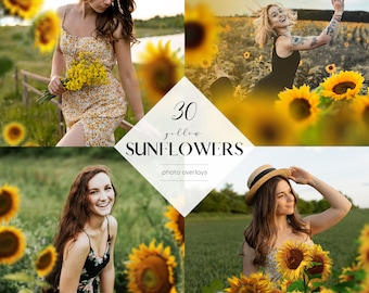 Sunflowers Photo Overlays, 30 PNG Files, Sunflowers Clipart, Yellow Flowers Overlays, Free Commercial Use