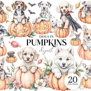 May include: Watercolor illustration featuring various dog breeds inside carved pumpkins. The image includes a Dachshund, Beagle, Dalmatian, and Bulldog, among others. The text "DOGS IN PUMPKINS clipart" is visible, along with the number "20 .PNG FILES".