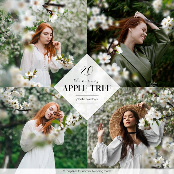 Apfelbaum-Foto-Overlays, Weiß blühender Baum Clipart, 20 PNG-Dateien, Frühling Clipart, Blumen Photoshop, kostenlose kommerzielle Nutzung