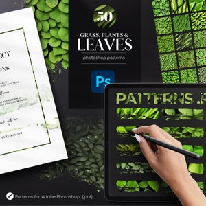 50 Leaves Photoshop Patterns, Grass, Plants .PAT, Nature Patterns for Photoshop, Green Seamless Patterns Addon, Commercial Use image 1