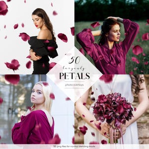 Burgundy Rose Petals Photo Overlays: 50 PNG Floral Effects (Digital Download)