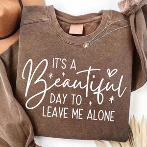 May include: A brown sweatshirt with the text "IT'S A Beautiful DAY TO LEAVE ME ALONE" in white script. The sweatshirt has a crew neck and long sleeves. A necklace with a small pendant is visible.