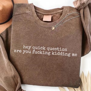 Puede incluir: Una sudadera marrón de cuello redondo con el texto "hey quick question are you fucking kidding me" en blanco. Un collar plateado con un pequeño colgante está sobre la sudadera.