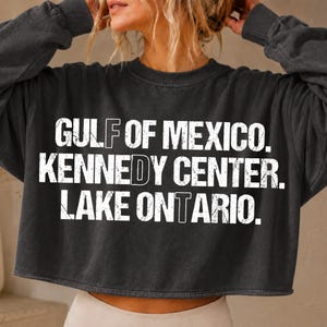 FDT Lake Ontario Kennedy Center PNG, Lustiges Protest-PNG, Digitaler Download Anti-Tr*mp Pro-Demokratie-Aktivismus Geschenk, Subtiles FDT-PNG