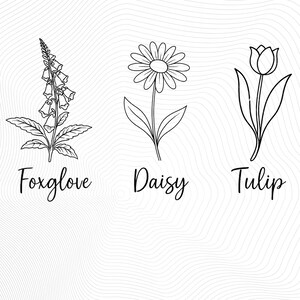 May include: Line drawing illustrations of three flowers: a foxglove, a daisy, and a tulip. Each flower is labeled with its name.