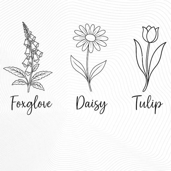 Foxglove Daisy Tulip Png, FDT Shirt, Funny Anti Trump Png, Anti Democrat Png, Liberal Shirt, Funny Political Shirt,Subtle FDT Silhouette Png