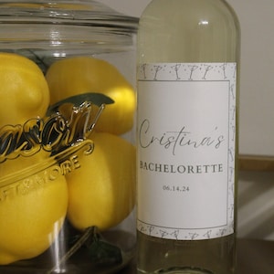 Addio al nubilato della sposa / Etichetta e targhetta per vino / Design Martini per il fine settimana di addio al nubilato / Viaggio per ragazze in bottiglia di vino / Etichetta di vino personalizzata per matrimonio