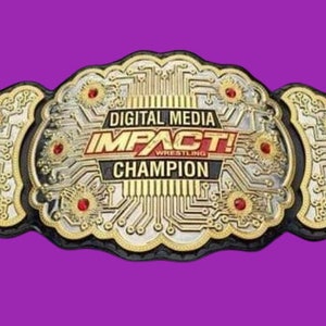 DIGITAL MEDIA IMPAKT Wrestling Cup Titel Gürtel