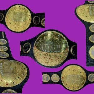 IWGP WORLD HEAVYWEIGHT wrestling championship title belt
