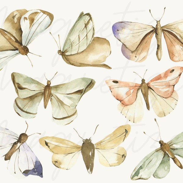 8 Neutral Butterfly PNG File, Instant Download Moth File, Watercolor Moth PNG, Insect Clip Art, Butterfly Clip Art